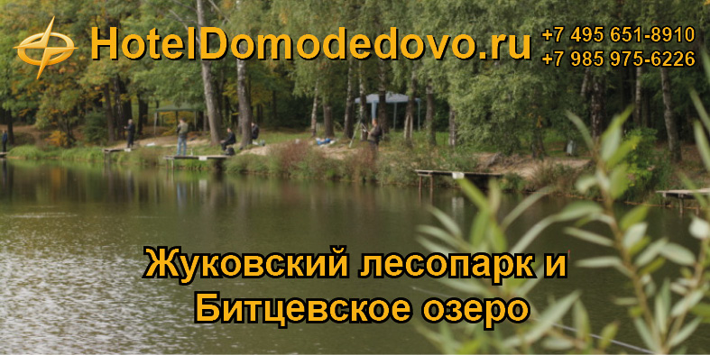 Жуковский лесопарк и Битцевское озеро около отеля «Альянс Отель Видное»